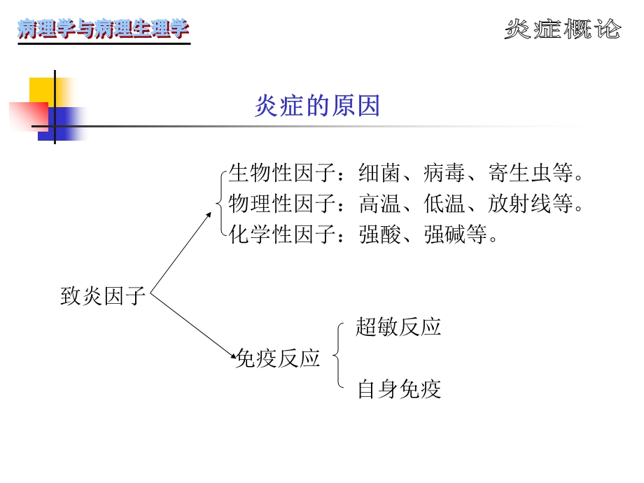 病理学第4章炎症PPT文档.ppt_第2页