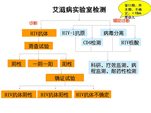 最新艾滋病检测的的结果解释 幻灯片1PPT文档.ppt