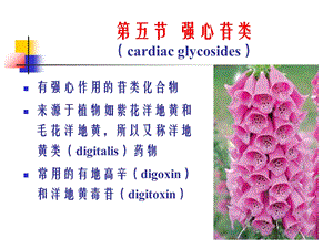 最新：药理学之心力衰竭药物副本文档资料.ppt