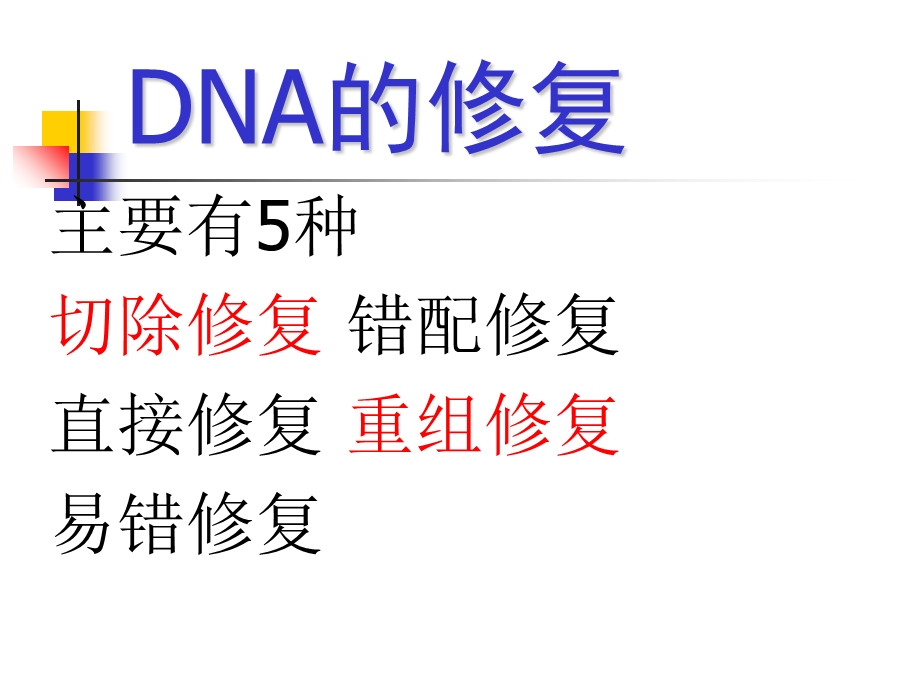 DNA的损伤修复PPT文档资料.ppt_第3页