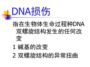 DNA的损伤修复PPT文档资料.ppt