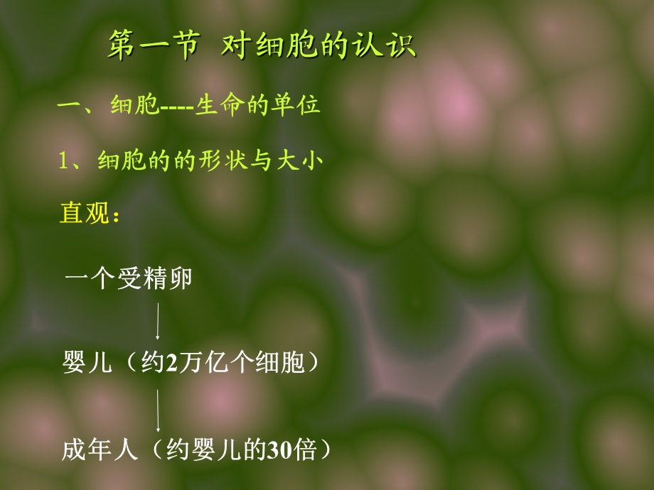 第二章Cell细胞文档资料.ppt_第1页