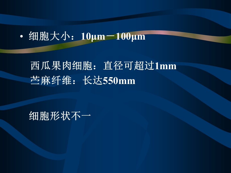 第二章Cell细胞文档资料.ppt_第3页