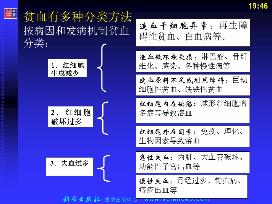 最新：血液系统2节 贫血文档资料.ppt_第2页