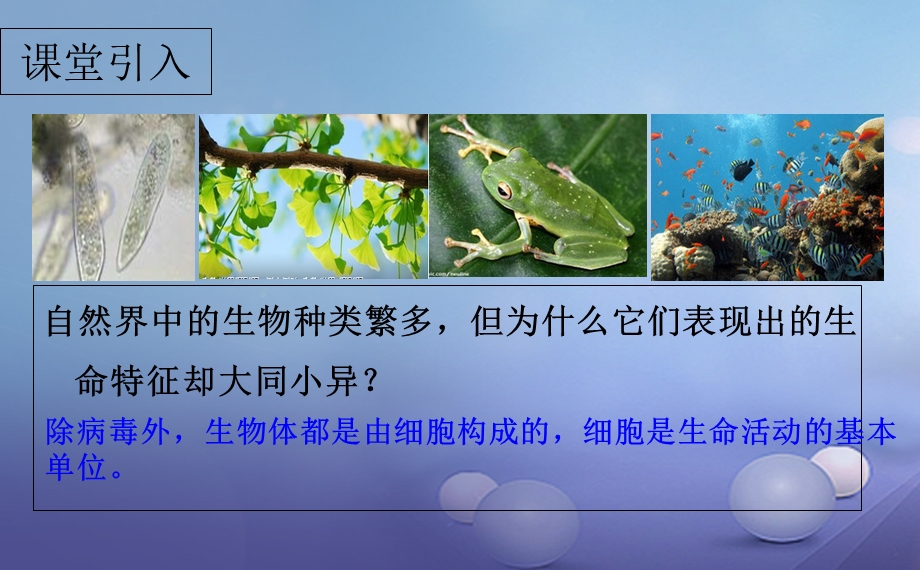 最新七年级生物上册2.3.1细胞的基本结构和功能1课件新版北师大版PPT文档.ppt_第1页