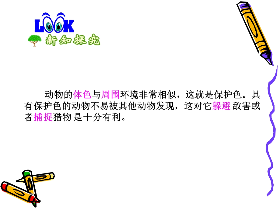 保护色的形成过程（胡伟平）.ppt_第2页