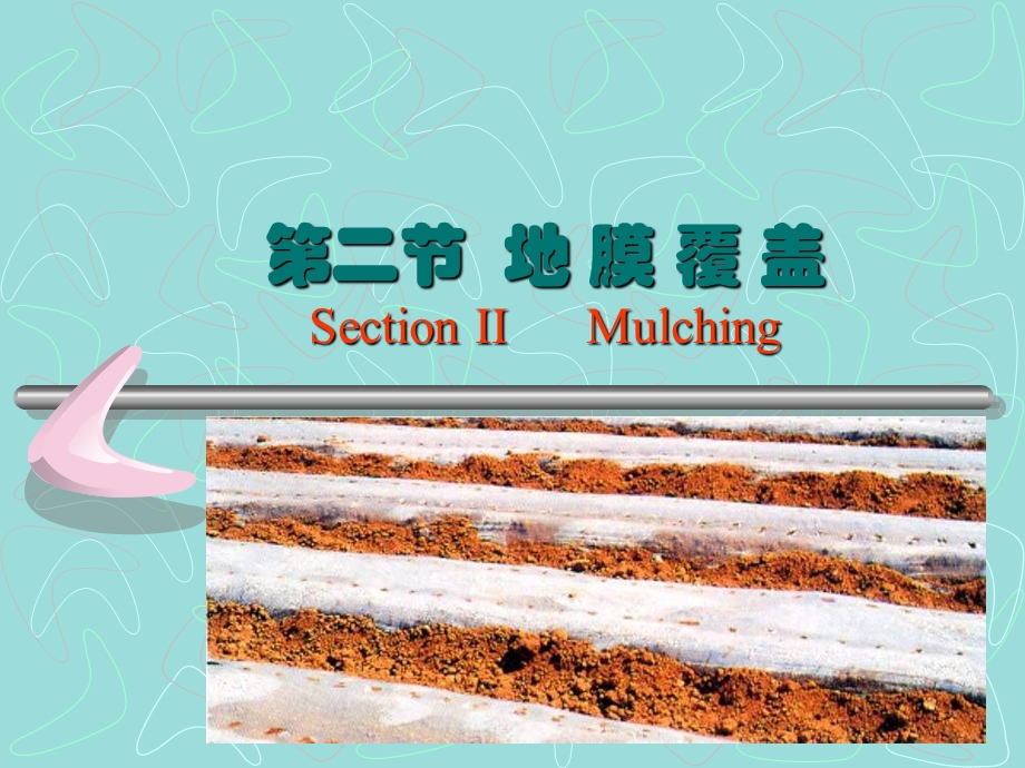 第二节地膜覆盖SectionIIMulching名师编辑PPT课件.ppt_第1页