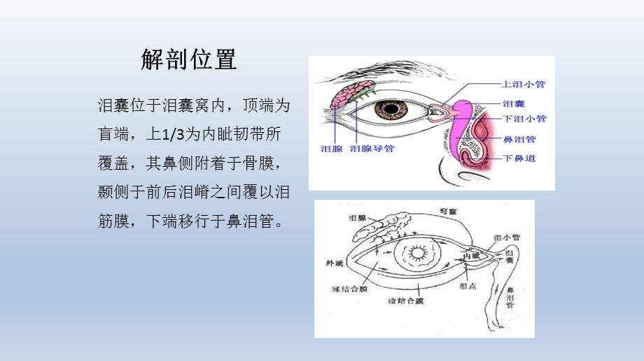 急性泪囊炎的护理ppt课件精选文档.pptx_第3页