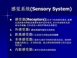 临床神经解剖学11PPT文档.ppt