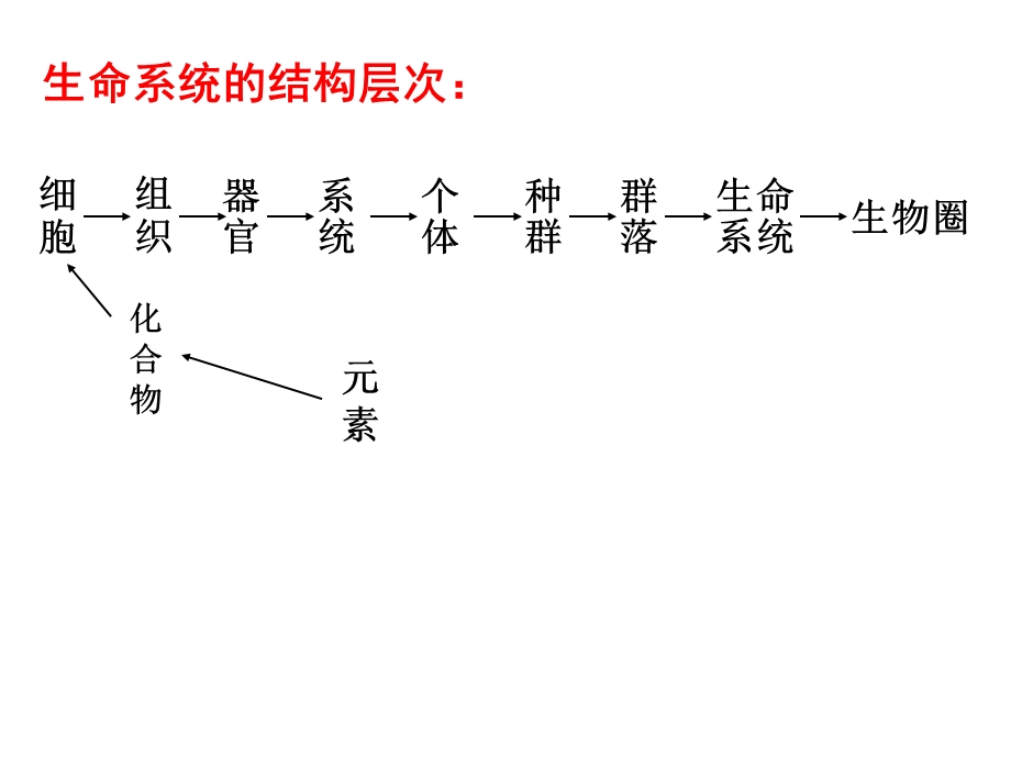 复习分子与细胞文档资料.ppt_第1页