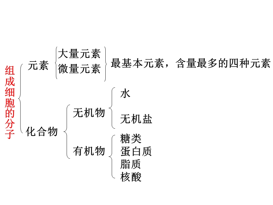 复习分子与细胞文档资料.ppt_第2页