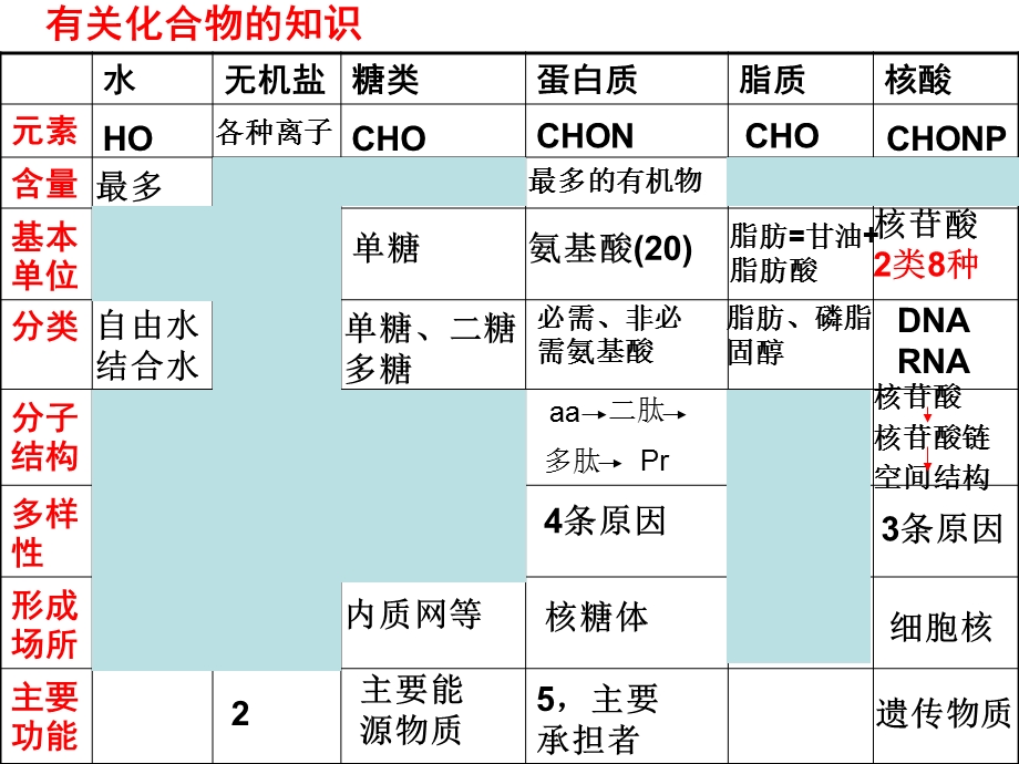 复习分子与细胞文档资料.ppt_第3页