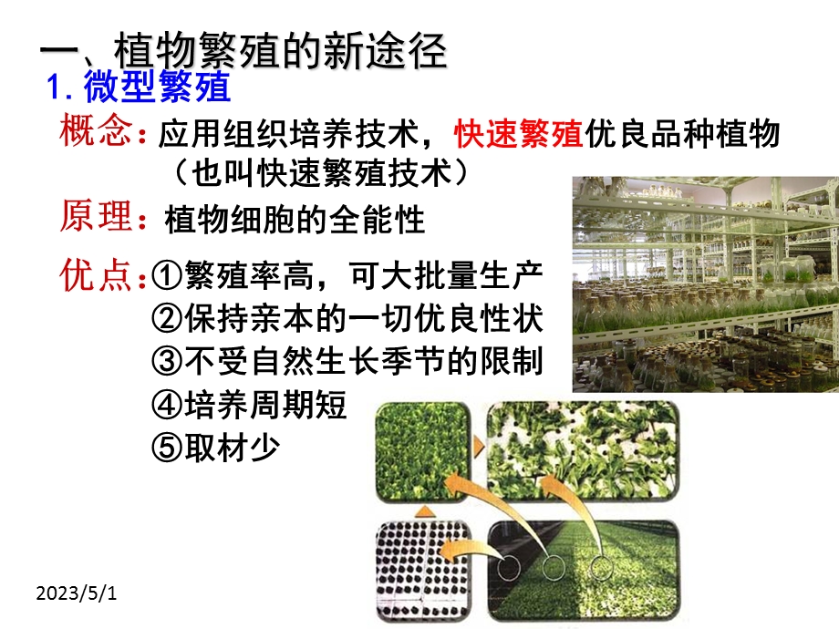 最新212植物细胞工程的实际应用上课用PPT文档.ppt_第3页