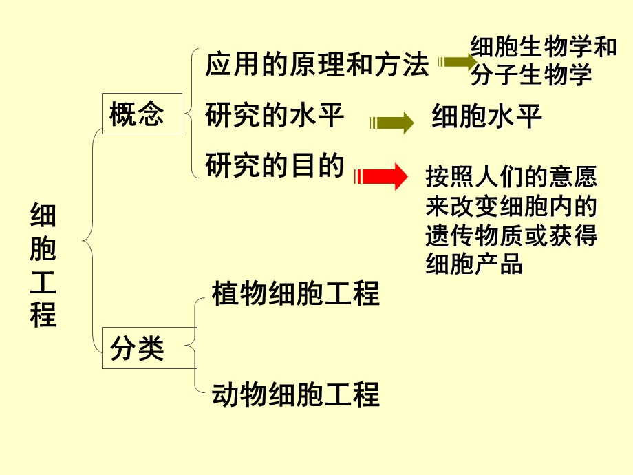 生物选修3细胞工程二轮专题复习课件文档资料.ppt_第1页