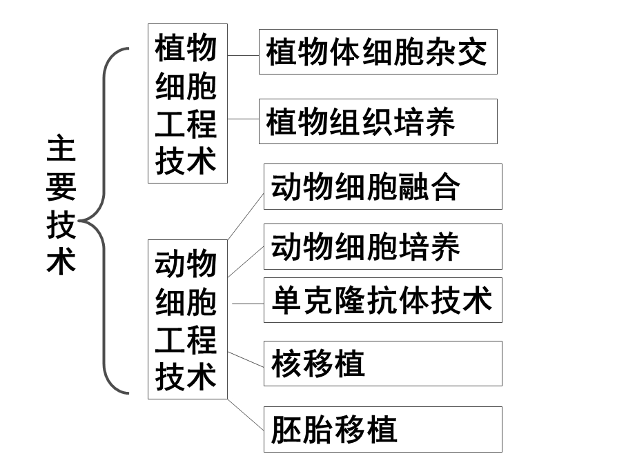 生物选修3细胞工程二轮专题复习课件文档资料.ppt_第2页