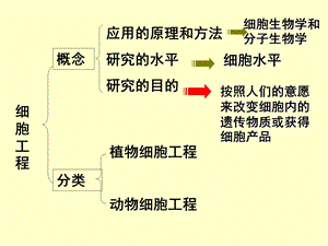 生物选修3细胞工程二轮专题复习课件文档资料.ppt