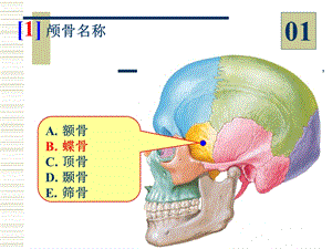 最新温州医学院系统解剖学切片考试ppt课件PPT文档.ppt