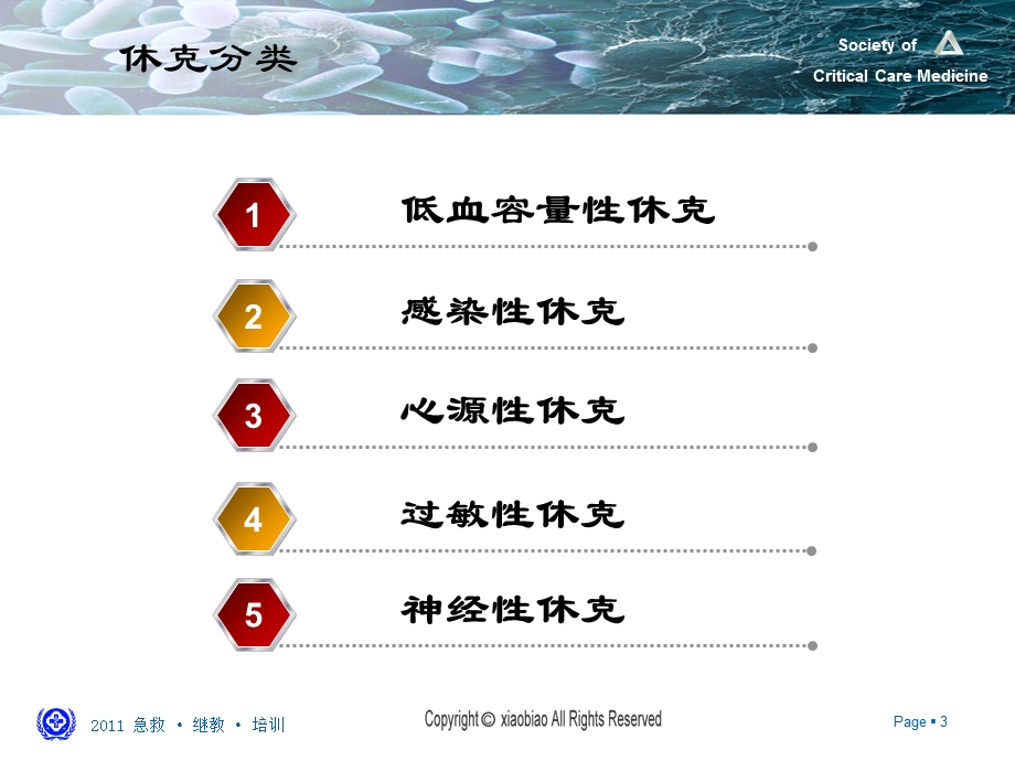 最新休克新理念PPT文档.ppt_第3页