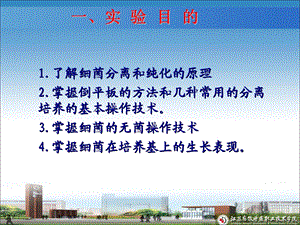 实验第4次细菌分离培养PPT课件.ppt