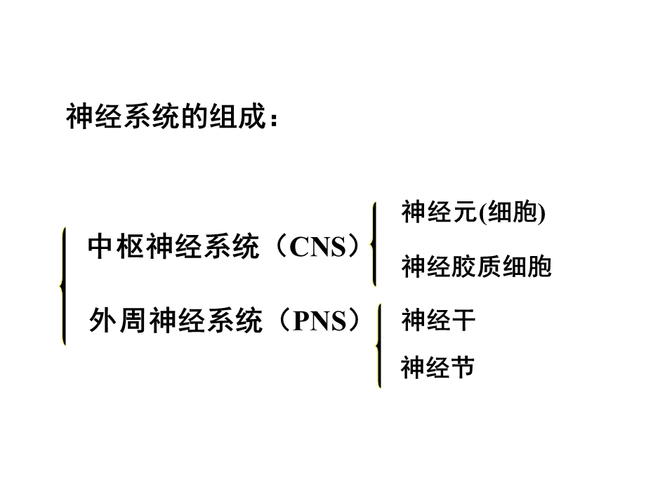 动物生理学第二版第九章神经系统精选文档.ppt_第3页