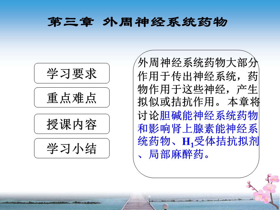 第三章外周神经系统药物文档资料.ppt_第1页