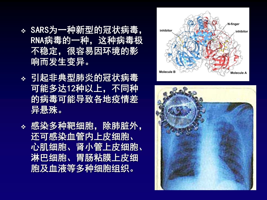 最新第一走进细胞PPT文档.ppt_第2页