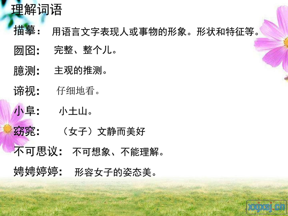 最新六年级语文上册第七单元黄山松课件3湘教版..ppt_第3页