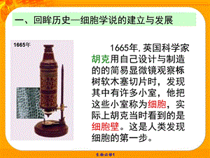 31生命活动的基本单位——细胞PPT文档资料.ppt