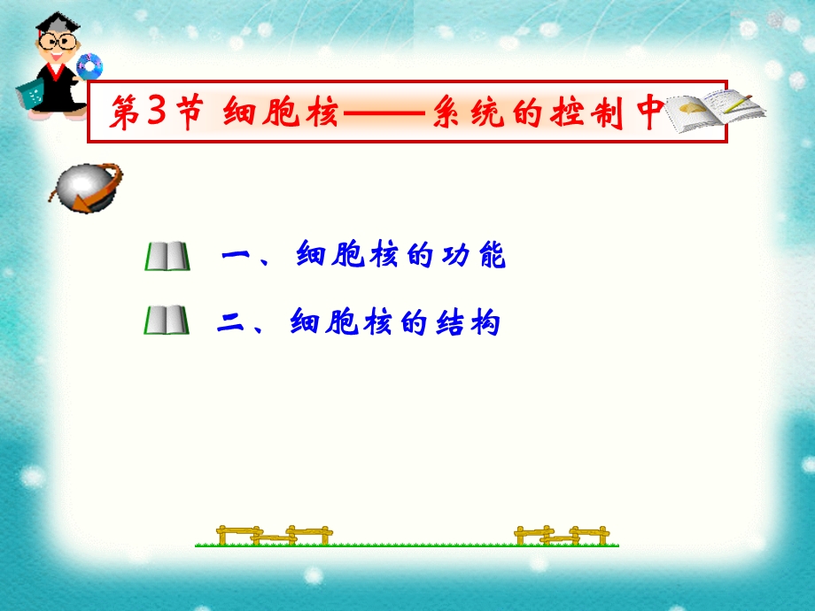 人教版高中生物必修一33细胞核文档资料.ppt_第2页