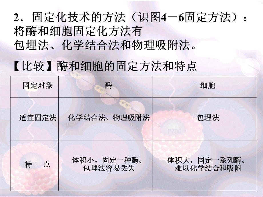 人教版教学课件酵母细胞的固定化课件PPT文档资料.ppt_第3页