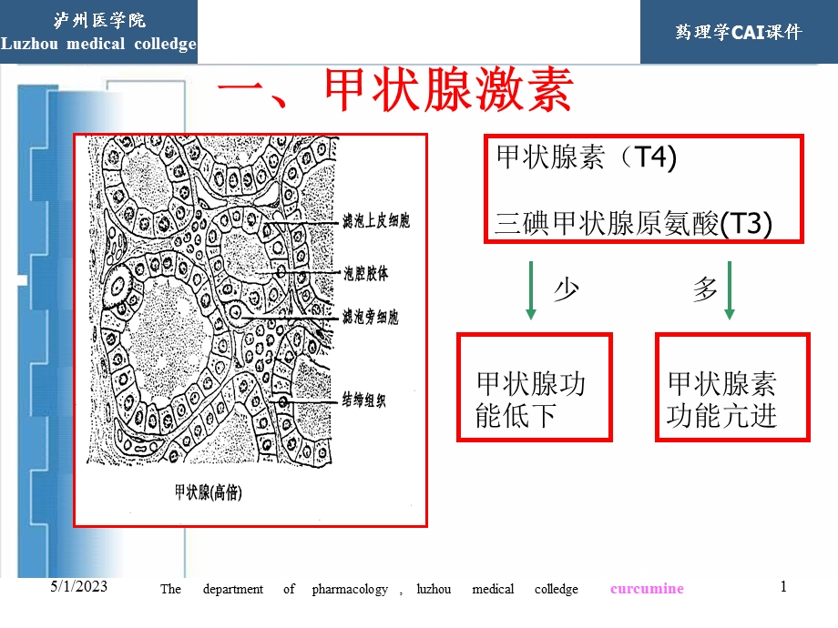 最新药理学12PPT文档.ppt_第1页