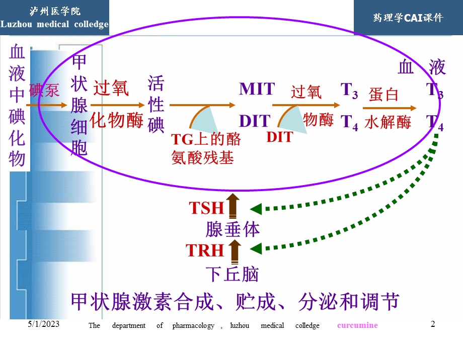 最新药理学12PPT文档.ppt_第2页