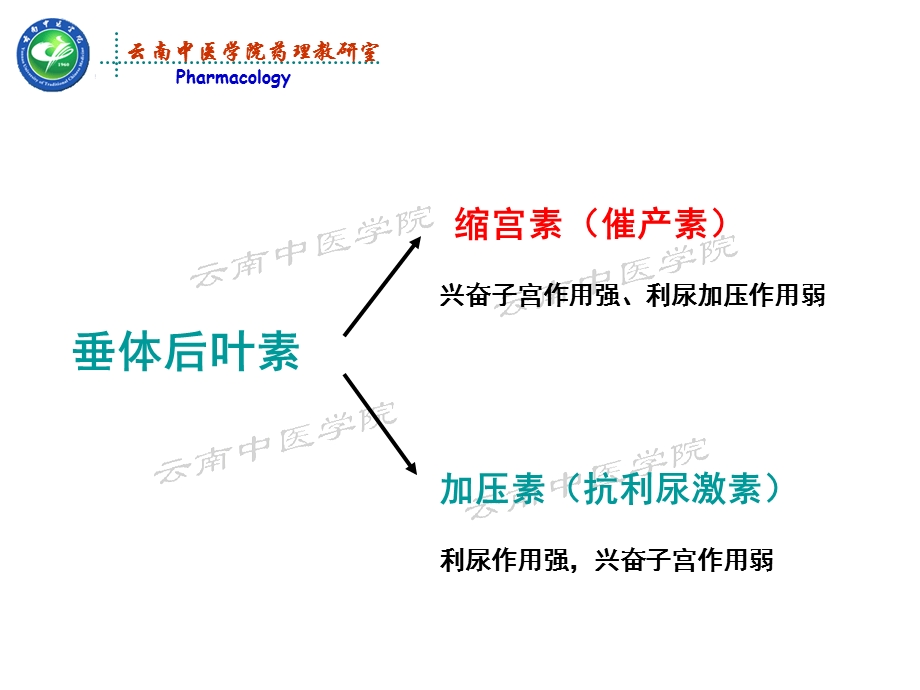 子宫兴奋药理学课件PPT文档.ppt_第3页