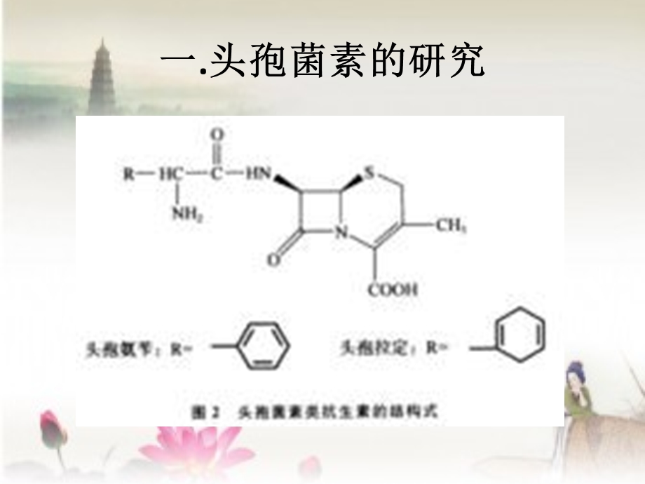 最新半合成抗生素PPT文档.pptx_第2页