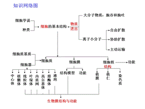 专题二细胞的基本结构和物质运输PPT文档资料.ppt