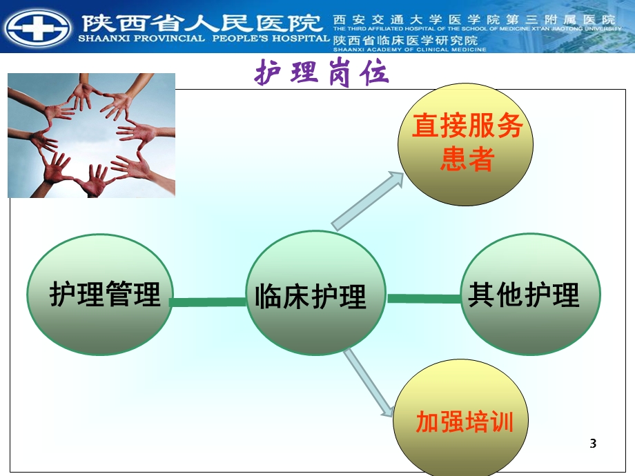 最新：基于岗位需求的专科护理人才培养ppt课件文档资料.ppt_第3页