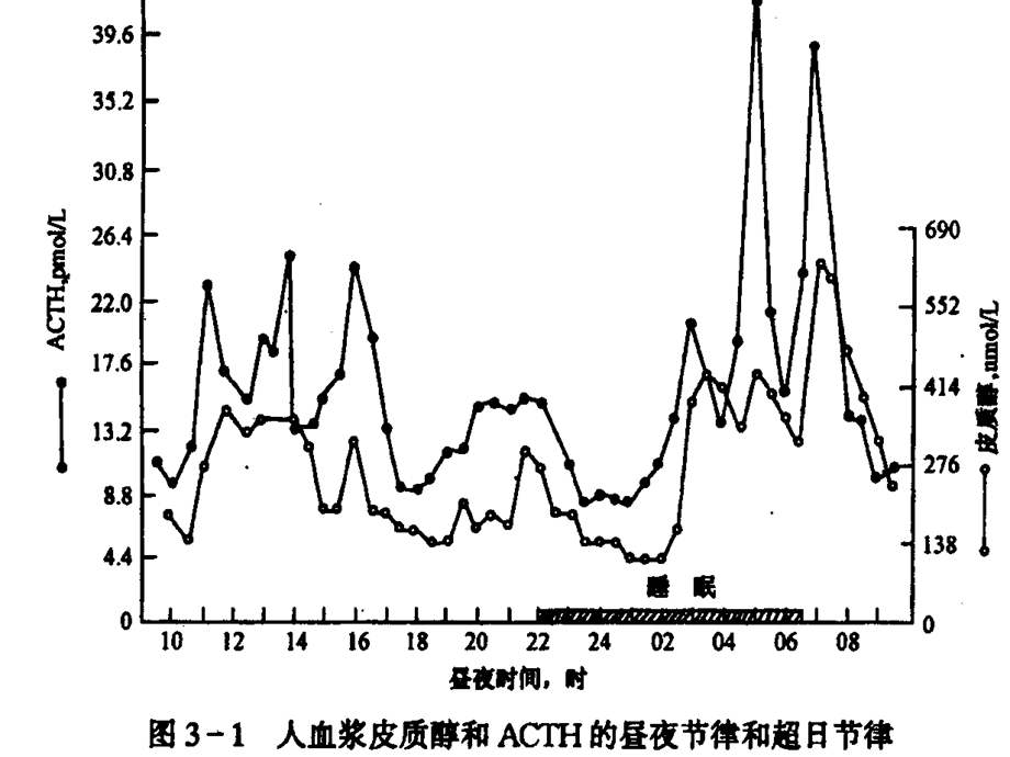 最新：时间药理学和合理用药文档资料.ppt_第2页