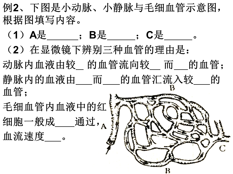 最新九上43体内物质的运输练习ppt课件..ppt_第2页