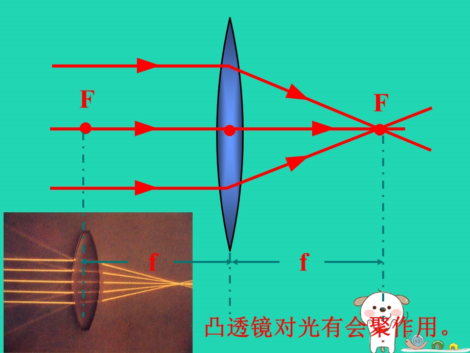 八年级物理上册第五章第二节生活中的透镜课件新版新人教版.pptx_第1页