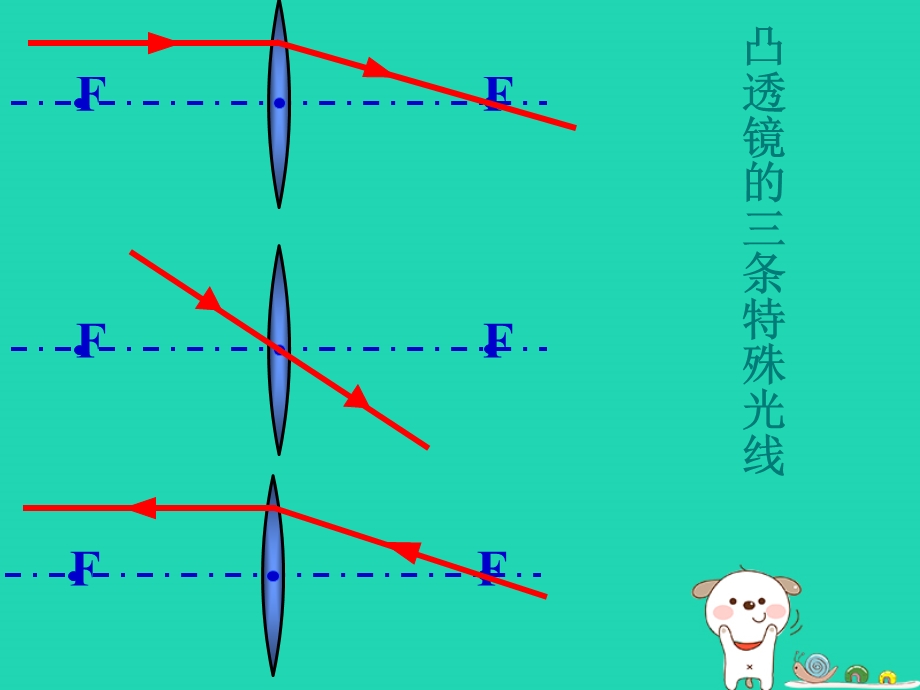 八年级物理上册第五章第二节生活中的透镜课件新版新人教版.pptx_第3页