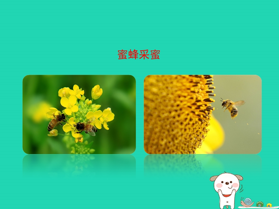 八年级生物上册4.1.2传粉与受精课件新版济南版.pptx_第2页