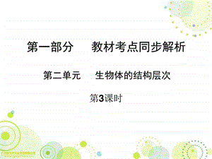 最新广东省中山市人教版初中生物中考精美复习课件 第..ppt