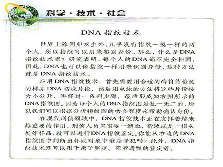 必修1-02-03遗传信息的携带者——核酸.ppt_第3页