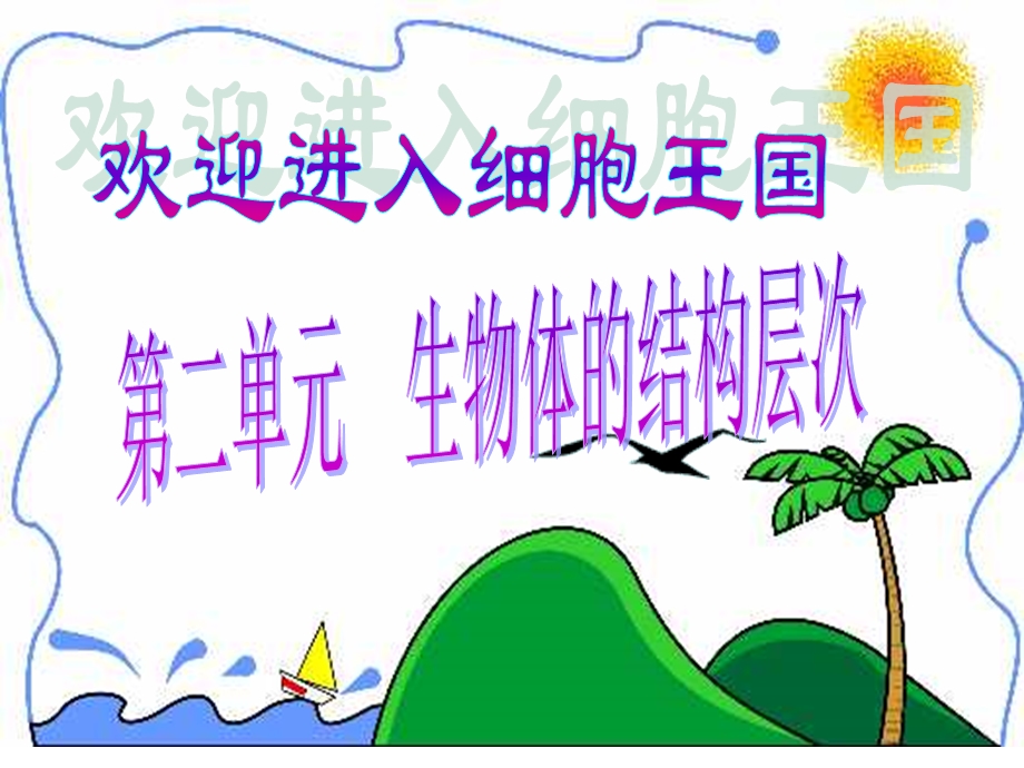 显微镜的使用 (3).ppt_第1页