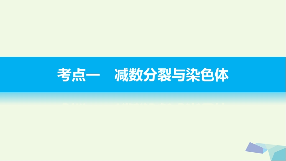 浙江专用高考生物二轮复习专题九减数分裂与受精作用课件.pptx_第2页