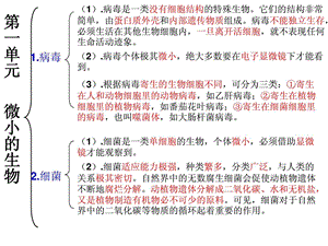 最新六年级科学复习课件..ppt