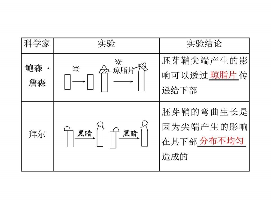 最新高三生物一轮复习课件必修3 第二单元 植物的激素..ppt_第2页