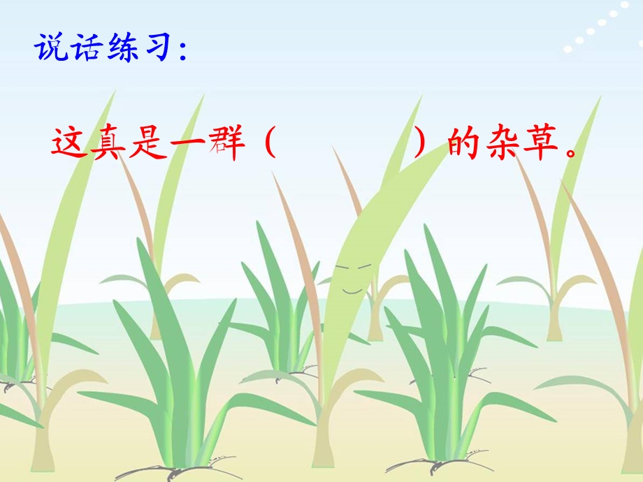 小稻秧脱险记课件 (2).ppt_第3页