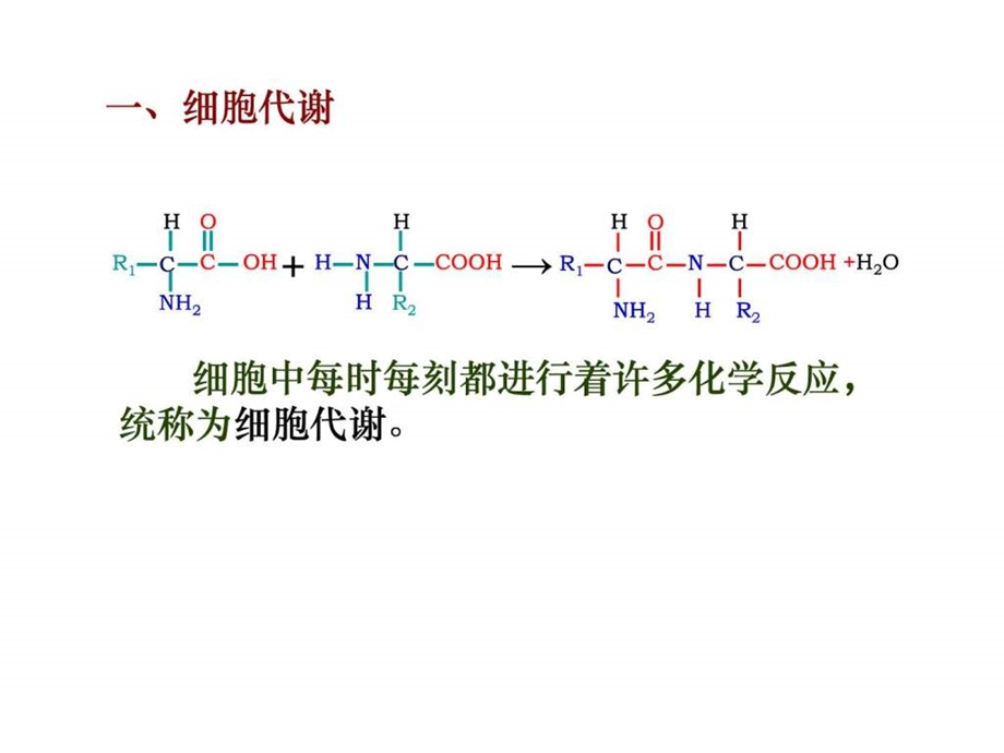 最新生物必修一 5.1降低化学反应活化能的酶..ppt_第3页