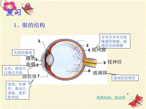 最新华师大版科学八下2.4眼的成像原理 视力的矫正ppt课..ppt